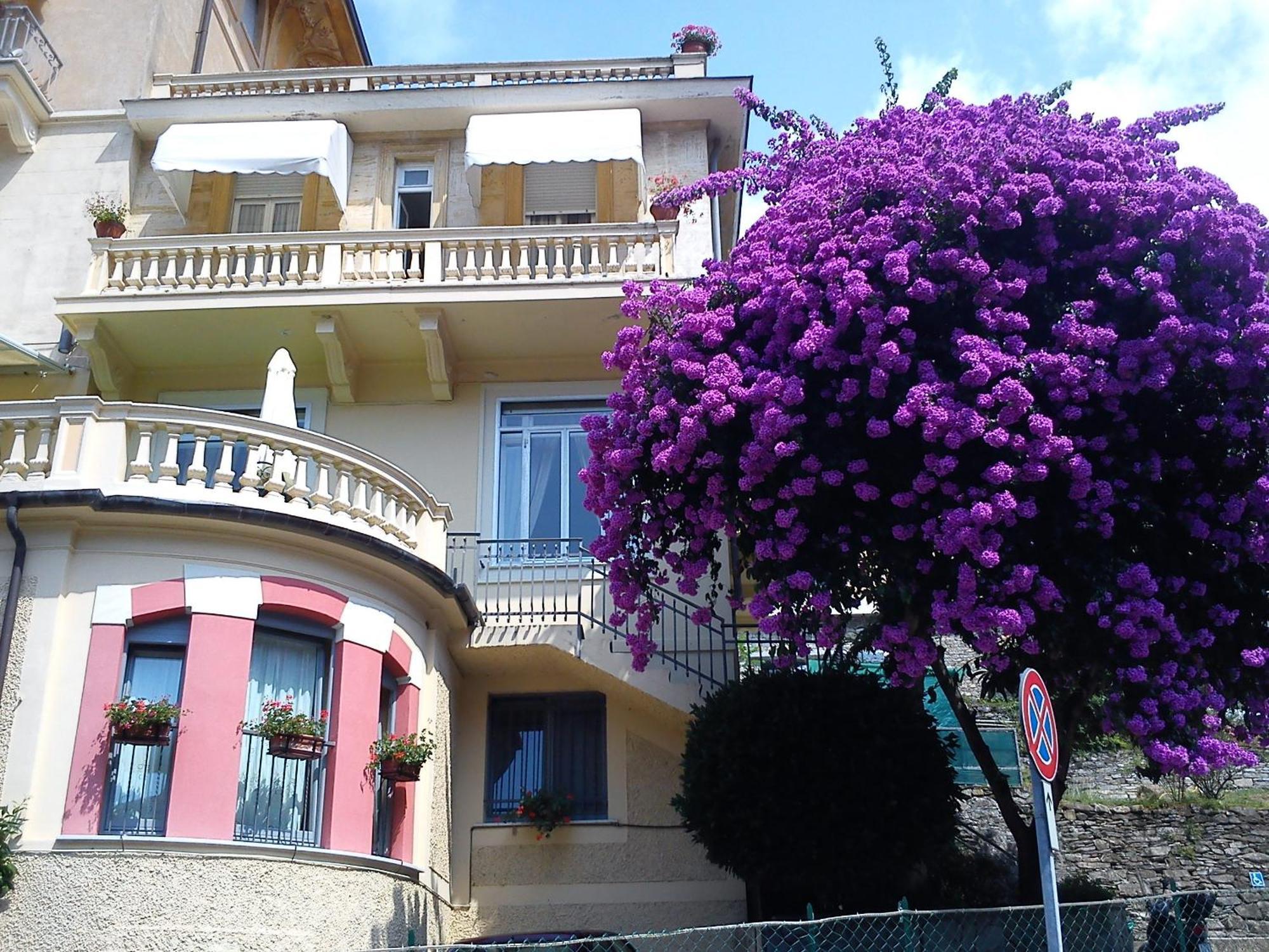 Hotel Canali, Portofino Coast 拉帕洛 外观 照片