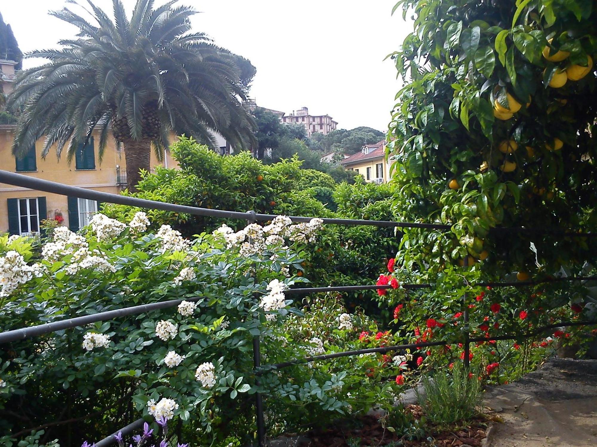 Hotel Canali, Portofino Coast 拉帕洛 外观 照片