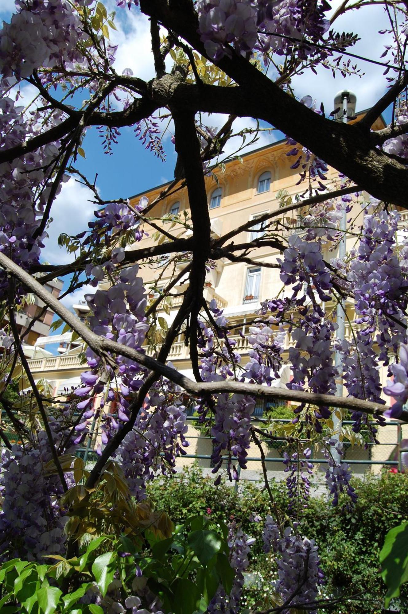 Hotel Canali, Portofino Coast 拉帕洛 外观 照片